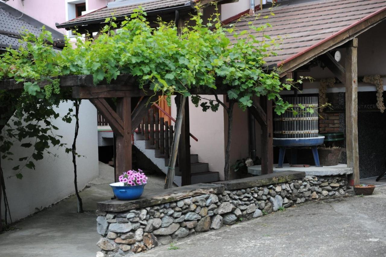 Wellness B&B Winery Sontacchi Kutjevo 外观 照片